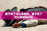妻子死了可以离婚的，妻子死了可以离婚的小说