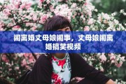 闹离婚丈母娘闹事，丈母娘闹离婚搞笑视频