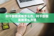 村干部假离婚怎么办，村干部假离婚怎么办理