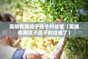 离婚有两孩子孩子判给谁（离婚有两孩子孩子判给谁了）