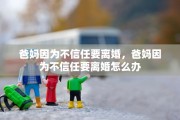 爸妈因为不信任要离婚，爸妈因为不信任要离婚怎么办