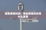 案由离婚纠纷，案由离婚纠纷是什么意思