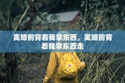 离婚前背着我拿东西，离婚前背着我拿东西走