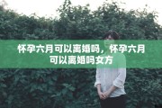 怀孕六月可以离婚吗，怀孕六月可以离婚吗女方