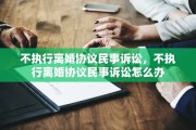 不执行离婚协议民事诉讼，不执行离婚协议民事诉讼怎么办