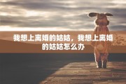 我想上离婚的姑姑，我想上离婚的姑姑怎么办