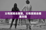 父母离婚去哪里，父母离婚去哪里办理