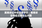 离婚诉讼中应注意什么，离婚诉讼中应注意什么问题