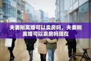夫妻刚离婚可以卖房吗，夫妻刚离婚可以卖房吗现在