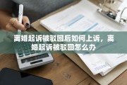 离婚起诉被驳回后如何上诉，离婚起诉被驳回怎么办