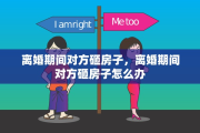 离婚期间对方砸房子，离婚期间对方砸房子怎么办