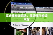 离婚案查询系统，离婚案件查询网站