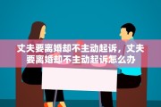 丈夫要离婚却不主动起诉，丈夫要离婚却不主动起诉怎么办