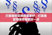打离婚官司律师哪家好，打离婚官司律师哪家好一点