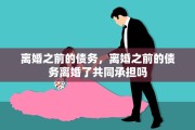 离婚之前的债务，离婚之前的债务离婚了共同承担吗