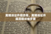 离婚诉讼开庭流程，离婚诉讼开庭流程详细步骤