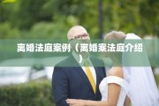 离婚法庭案例（离婚案法庭介绍）