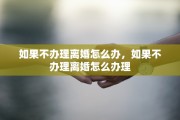 如果不办理离婚怎么办，如果不办理离婚怎么办理