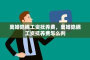 离婚隐瞒工资抚养费，离婚隐瞒工资抚养费怎么判