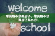 想离婚不想要房子，想离婚不想要房子怎么办