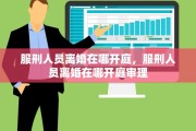 服刑人员离婚在哪开庭，服刑人员离婚在哪开庭审理