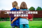 二胎孕期能离婚不，二胎孕期能离婚不离婚吗
