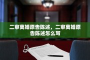 二审离婚原告陈述，二审离婚原告陈述怎么写