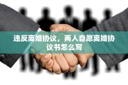 违反离婚协议，两人自愿离婚协议书怎么写