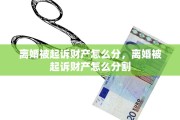 离婚被起诉财产怎么分，离婚被起诉财产怎么分割