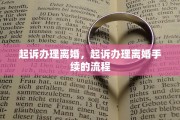 起诉办理离婚，起诉办理离婚手续的流程
