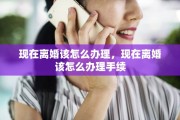 现在离婚该怎么办理，现在离婚该怎么办理手续