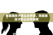 想离婚孩子怎么办手续，想离婚孩子怎么办手续呢