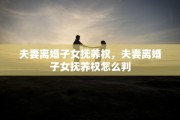 夫妻离婚子女抚养权，夫妻离婚子女抚养权怎么判