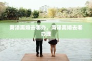 菏泽离婚去哪办，菏泽离婚去哪办理