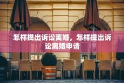 怎样提出诉讼离婚，怎样提出诉讼离婚申请
