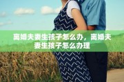 离婚夫妻生孩子怎么办，离婚夫妻生孩子怎么办理