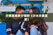 沂南离婚多少钱啊（沂水夫妻离婚）