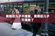 离婚后儿子不理我，离婚后儿子不理我了