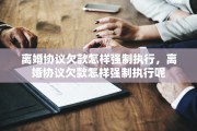 离婚协议欠款怎样强制执行，离婚协议欠款怎样强制执行呢