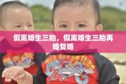 假离婚生三胎，假离婚生三胎再婚复婚