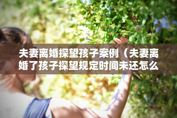 男方提离婚要求彩礼退回，男方提离婚要求彩礼退回怎么办