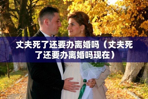 丈夫死了还要办离婚吗（丈夫死了还要办离婚吗现在）