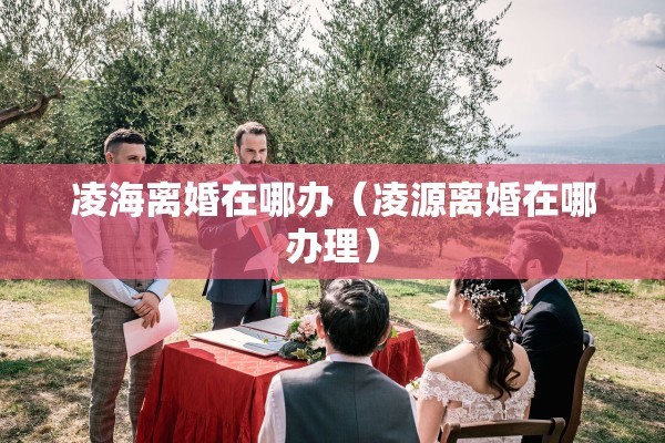 凌海离婚在哪办（凌源离婚在哪办理）