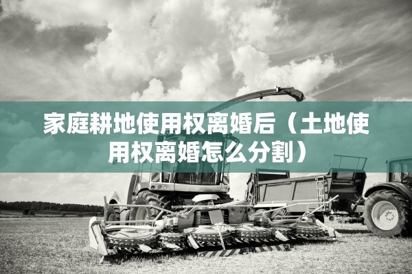 家庭耕地使用权离婚后（土地使用权离婚怎么分割）