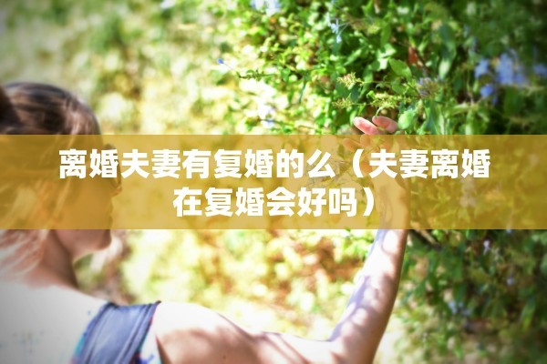 离婚孩子判决书叫什么（离婚孩子判决书怎么写）