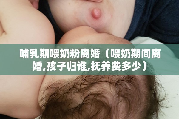 哺乳期喂奶粉离婚（喂奶期间离婚,孩子归谁,抚养费多少）