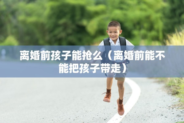 离婚前孩子能抢么（离婚前能不能把孩子带走）