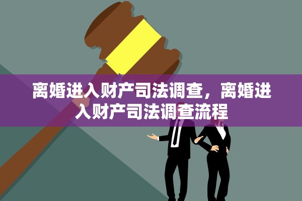离婚进入财产司法调查，离婚进入财产司法调查流程