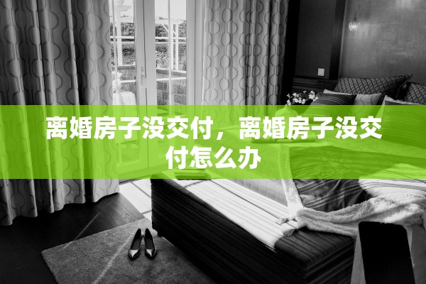 离婚房子没交付，离婚房子没交付怎么办