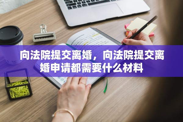 向法院提交离婚，向法院提交离婚申请都需要什么材料